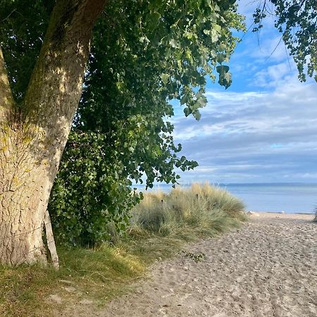 Feriendorf Suedstrand Haus 36 Pelzerhaken Luaran gambar